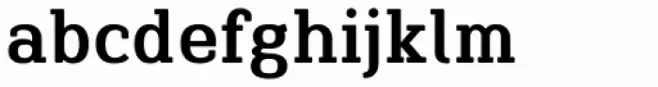 Finador Slab Bold