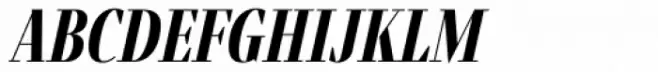 Fino Bold Italic