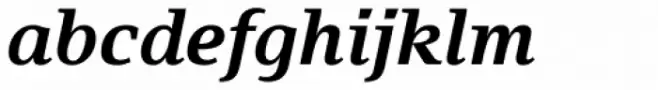 Fiona Serif Bold Italic