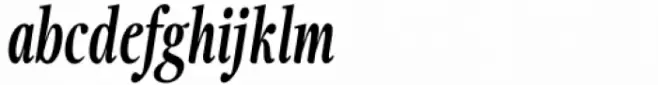 Fionas ExtraBold Italic