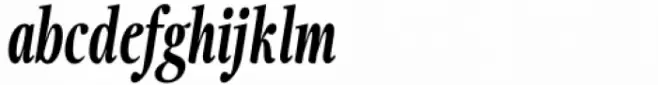 Fionas Heavy Italic