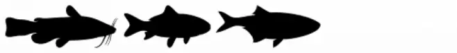 Fish Fresh