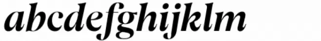 fj Meduza Book Display Italic
