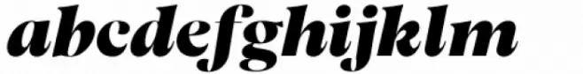 fj Meduza Extra Bold Display Italic