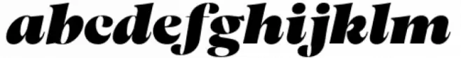 fj Meduza Heavy Display Italic