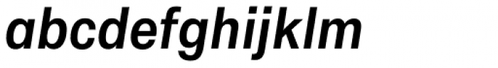 Flaco Bold Italic