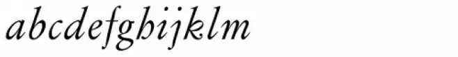 Flanker Garaldus Italic