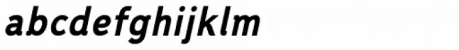 Flannel Shirt BB Bold Italic