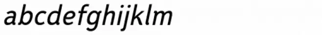 Flannel Shirt BB Italic