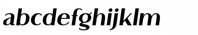 Flatline Sans Extra Bold Italic