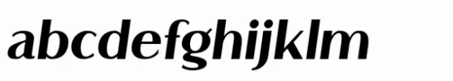 Flatline Sans Heavy Italic