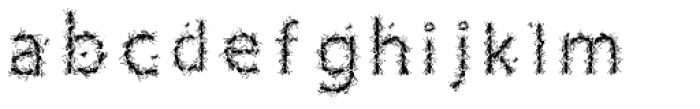 Flies