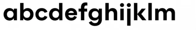 Flink Neue Bold