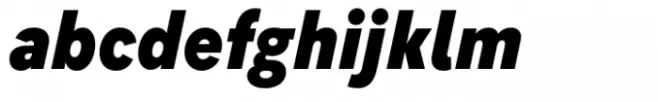 Flink Neue Text Cmp Black Italic