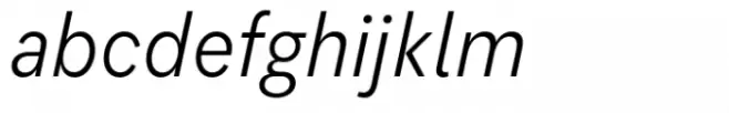 Flink Neue Text Cmp Book Italic