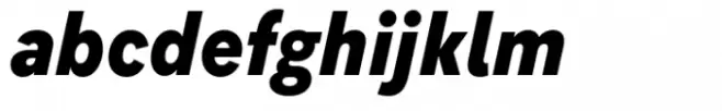 Flink Neue Text Cmp XBold Italic