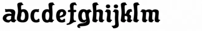 Flinscher Bold