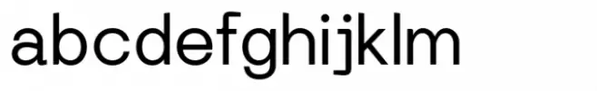 Florid Sans Book