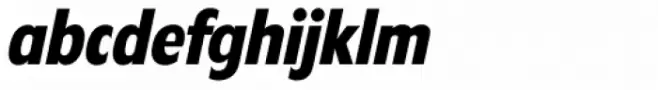 Florida Serial ExtraBold Italic