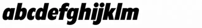 Florida Serial Heavy Italic