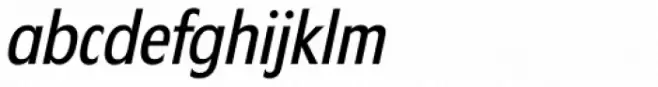 Florida Serial Italic