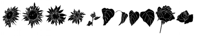 Flower Sketch Neue