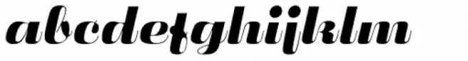 Fluidum Std Bold