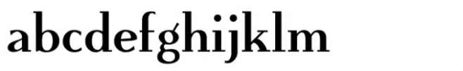 Flyoika Bold
