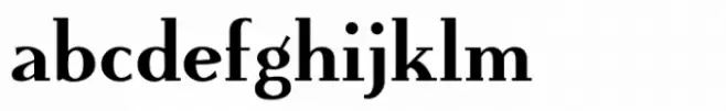 Flyoika Extra Bold