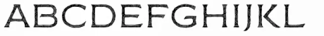 FM Bolyar Engraved One NPro 100