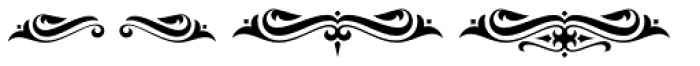 FM Bolyar Pro Ornaments