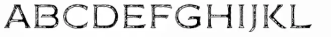 FM Bolyar Rust Two NPro 100