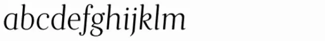 Fnord Seventeen Italic