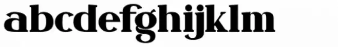Fogie Bold