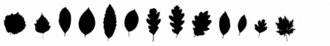 Fontfoliae
