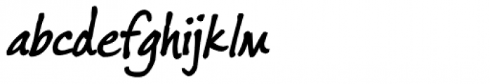 Fords Folly Bold Italic