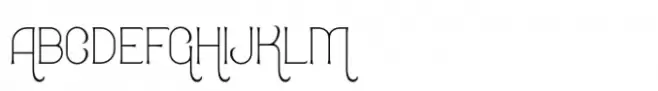 Fortune Thin