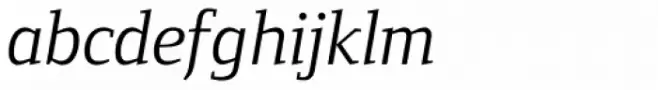 Foundry Form Serif Book Italic