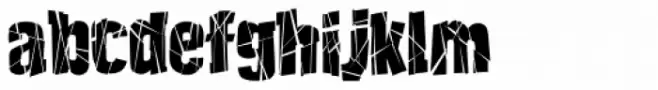 Fracture