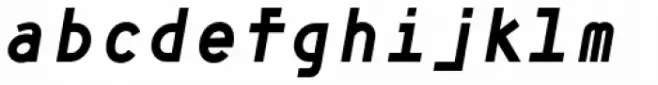 Framework Mono Bold Italic