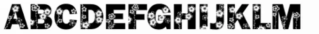Frank Flowers 1