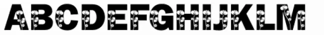 Frank Flowers 2