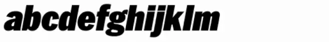 Franklin Pro Narrow Ultra Italic