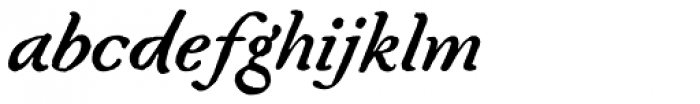 Fred Italic