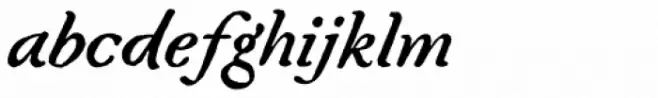 Fred Italic