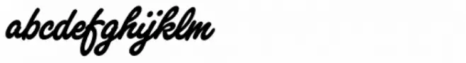 Freestyle Script Std Bold