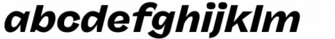 Freigeist Wide Black Italic