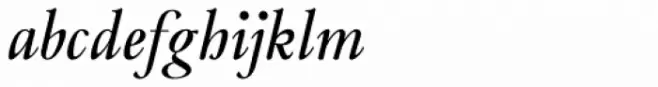 Frenchute Book Italic