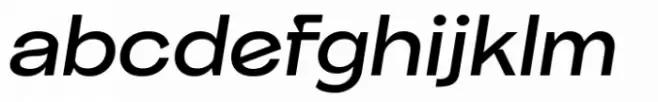 Frink Rio Medium Italic