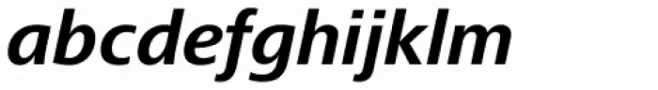 Frutiger Next Pro Bold Italic
